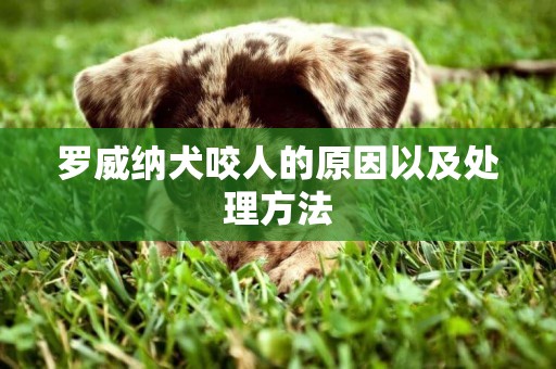 羅威納犬咬人的原因以及處理方法