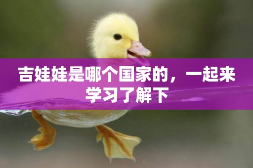 吉娃娃是哪個國家的，一起來學習了解下