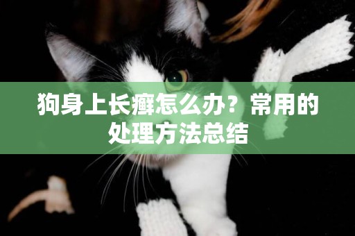狗身上長癬怎么辦？常用的處理方法總結
