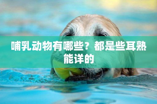 哺乳動物有哪些？都是些耳熟能詳的