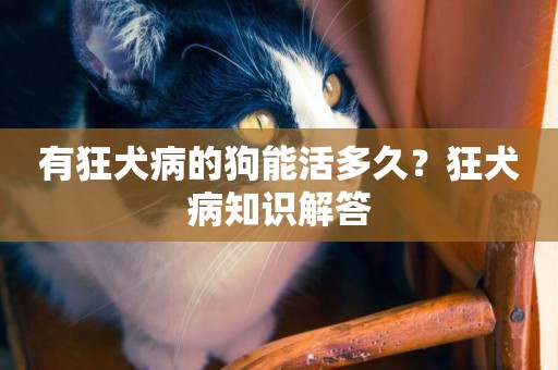有狂犬病的狗能活多久？狂犬病知識解答