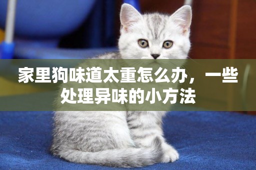 家里狗味道太重怎么辦，一些處理異味的小方法