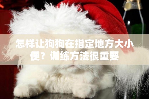怎樣讓狗狗在指定地方大小便？訓練方法很重要