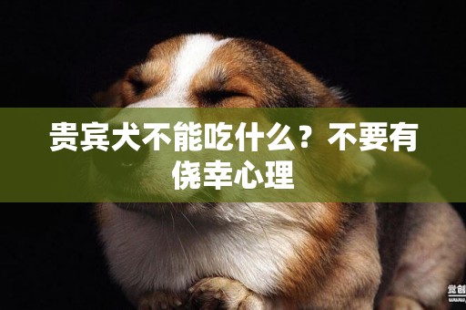 貴賓犬不能吃什么？不要有僥幸心理