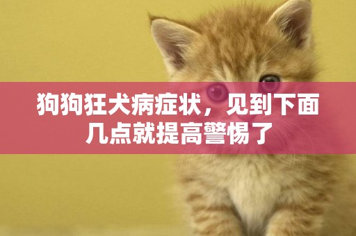 狗狗狂犬病癥狀，見到下面幾點就提高警惕了