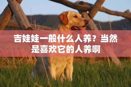 吉娃娃一般什么人養？當然是喜歡它的人養啊