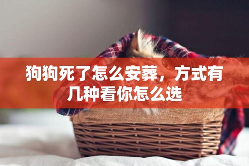 狗狗死了怎么安葬，方式有幾種看你怎么選