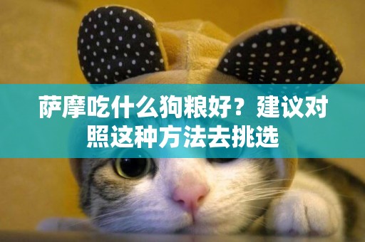 薩摩吃什么狗糧好？建議對照這種方法去挑選