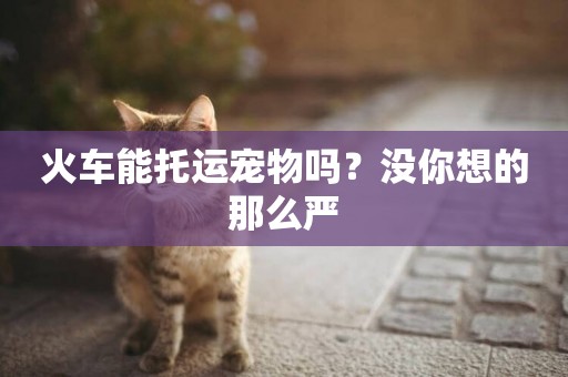 火車能托運寵物嗎？沒你想的那么嚴
