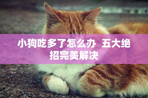 小狗吃多了怎么辦  五大絕招完美解決