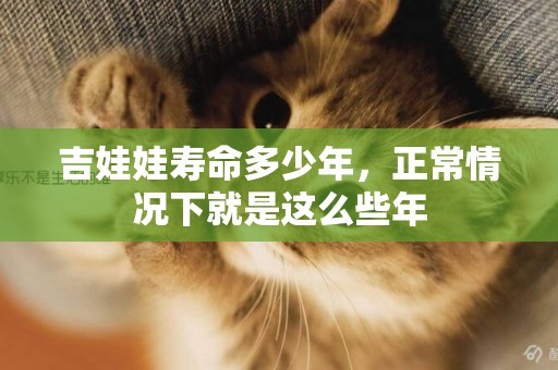 吉娃娃壽命多少年，正常情況下就是這么些年