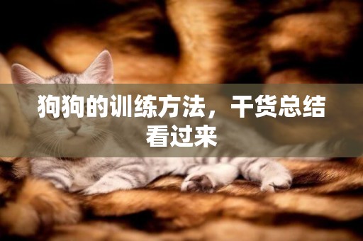 狗狗的訓練方法，干貨總結看過來