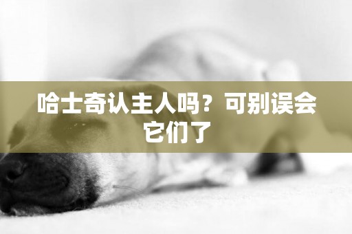哈士奇認主人嗎？可別誤會它們了