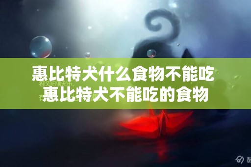 惠比特犬什么食物不能吃 惠比特犬不能吃的食物