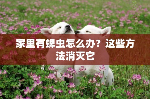 家里有蜱蟲怎么辦？這些方法消滅它