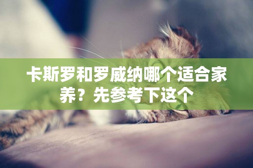 卡斯羅和羅威納哪個適合家養？先參考下這個