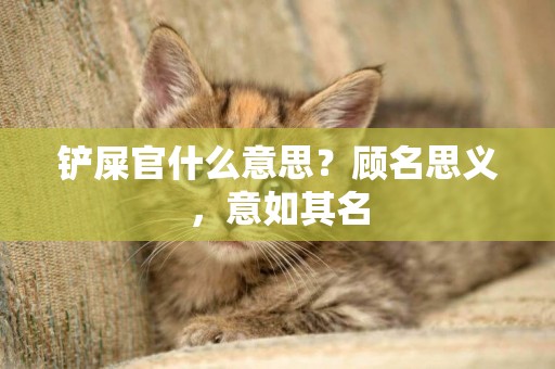 鏟屎官什么意思？顧名思義，意如其名