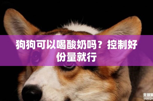 狗狗可以喝酸奶嗎？控制好份量就行