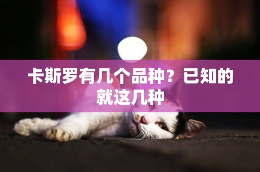 卡斯羅有幾個品種？已知的就這幾種