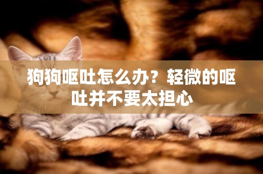 狗狗嘔吐怎么辦？輕微的嘔吐并不要太擔心