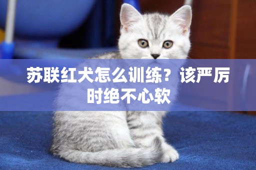 蘇聯紅犬怎么訓練？該嚴厲時絕不心軟