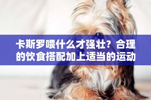卡斯羅喂什么才強壯？合理的飲食搭配加上適當的運動