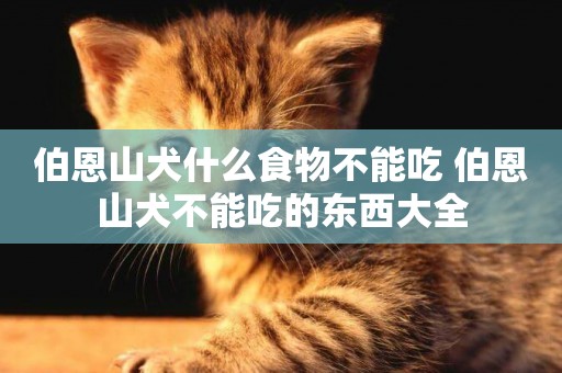 伯恩山犬什么食物不能吃 伯恩山犬不能吃的東西大全