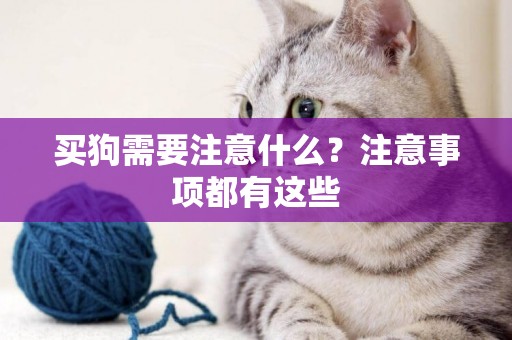 買狗需要注意什么？注意事項都有這些