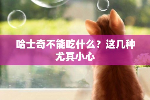 哈士奇不能吃什么？這幾種尤其小心