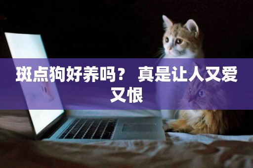 斑點狗好養嗎？ 真是讓人又愛又恨
