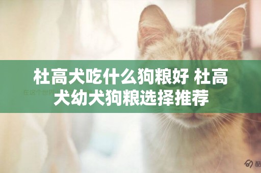 杜高犬吃什么狗糧好 杜高犬幼犬狗糧選擇推薦