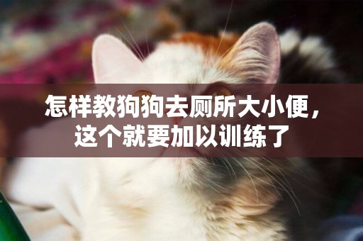 怎樣教狗狗去廁所大小便，這個就要加以訓練了