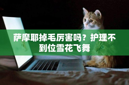 薩摩耶掉毛厲害嗎？護理不到位雪花飛舞