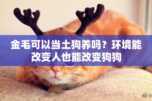 金毛可以當土狗養嗎？環境能改變人也能改變狗狗