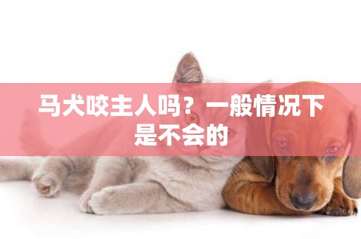 馬犬咬主人嗎？一般情況下是不會的