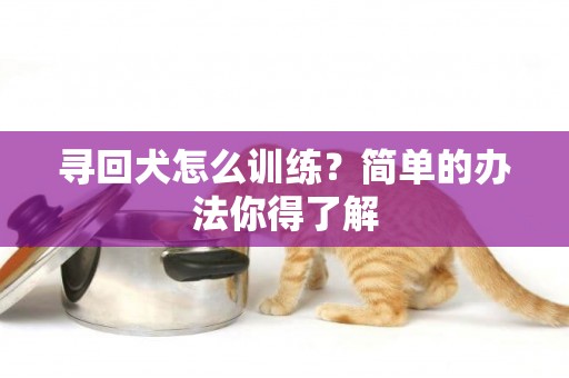 尋回犬怎么訓練？簡單的辦法你得了解