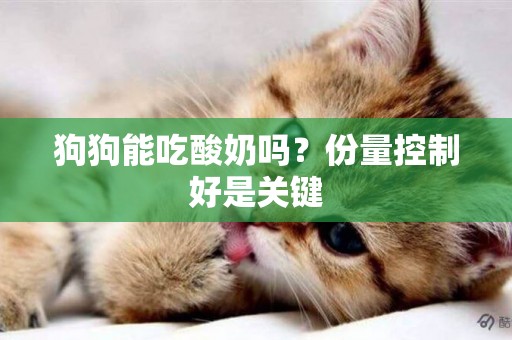 狗狗能吃酸奶嗎？份量控制好是關鍵