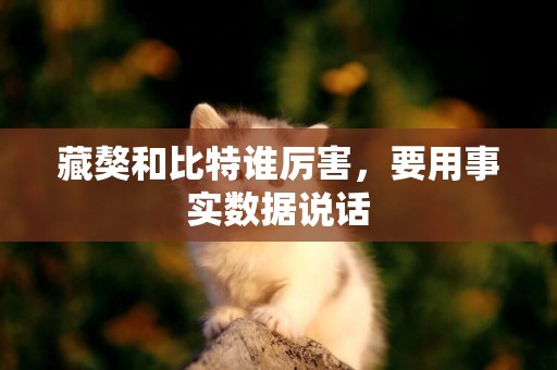 藏獒和比特誰厲害，要用事實數據說話