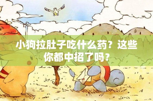 小狗拉肚子吃什么藥？這些你都中招了嗎？