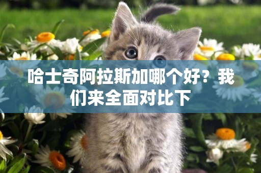 哈士奇阿拉斯加哪個好？我們來全面對比下