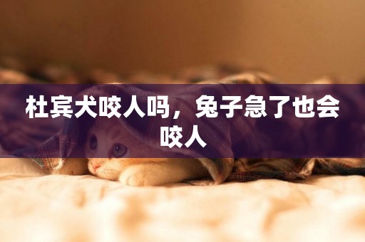 杜賓犬咬人嗎，兔子急了也會咬人