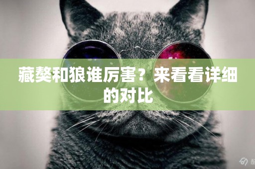 藏獒和狼誰厲害？來看看詳細的對比