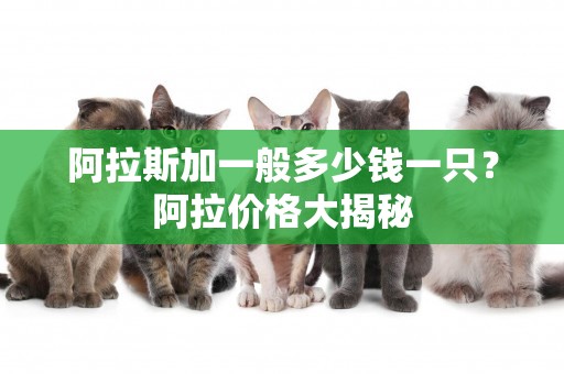 阿拉斯加一般多少錢一只？阿拉價格大揭秘