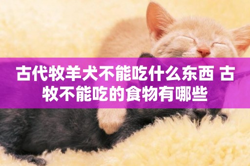 古代牧羊犬不能吃什么東西 古牧不能吃的食物有哪些