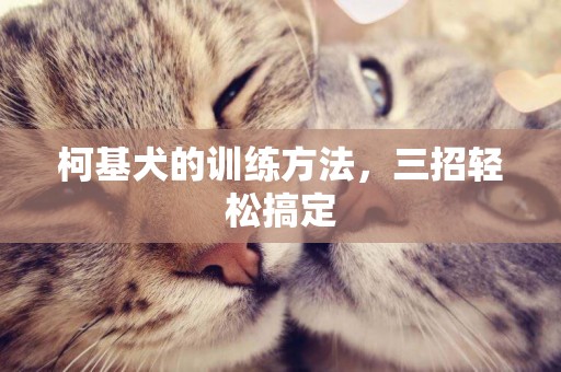 柯基犬的訓練方法，三招輕松搞定