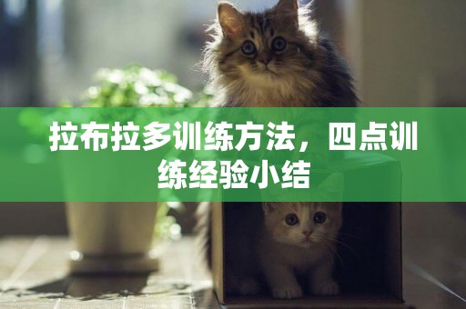 拉布拉多訓練方法，四點訓練經驗小結