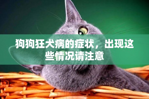 狗狗狂犬病的癥狀，出現這些情況請注意