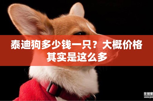 泰迪狗多少錢一只？大概價格其實是這么多