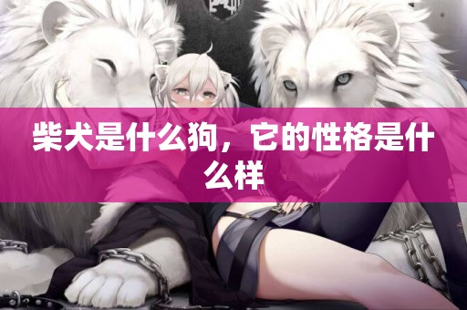 柴犬是什么狗，它的性格是什么樣