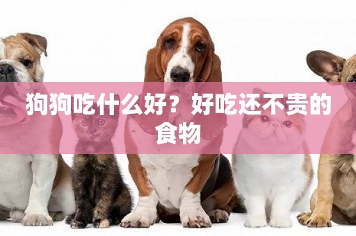 狗狗吃什么好？好吃還不貴的食物